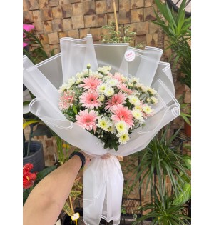 GERBERA - PAPATYA BUKETİ